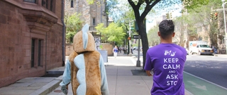 A student in STC mascot Gil costume and another student in a purple STC t-shirt which reads "Keep Calm and Ask STC 